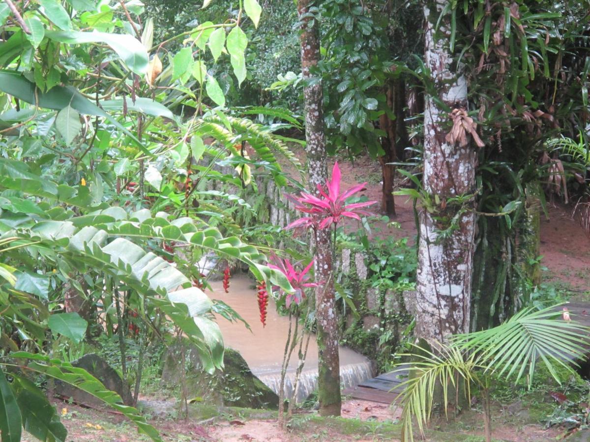 Janela dos Meus Sonhos Penedo (Rio de Janeiro) Exterior foto